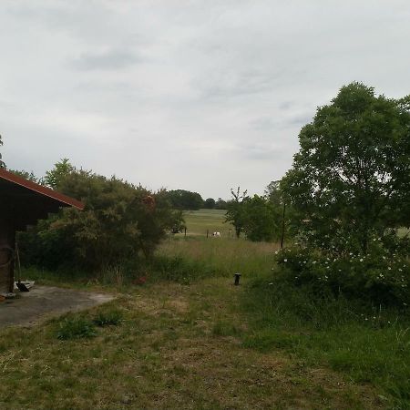 New Home Langendorf  Bagian luar foto