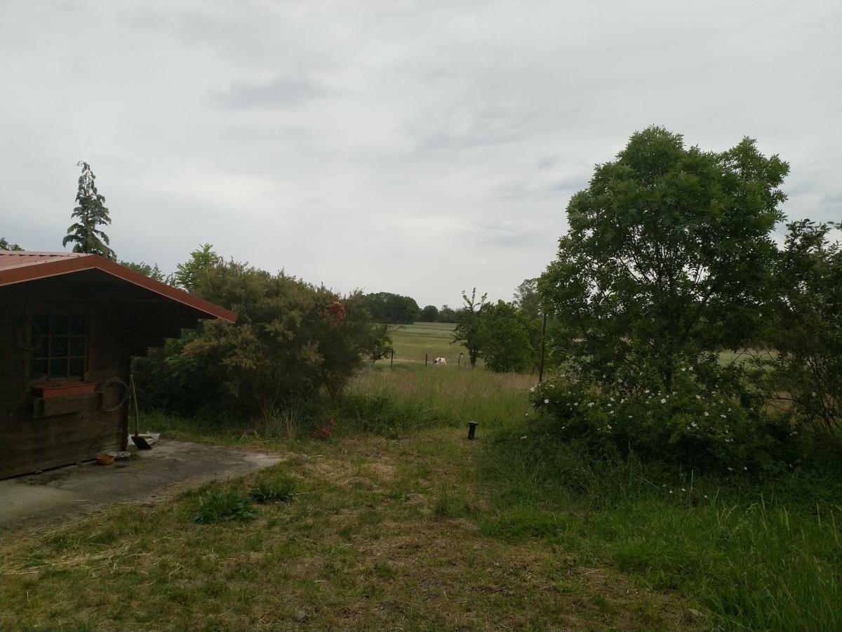 New Home Langendorf  Bagian luar foto